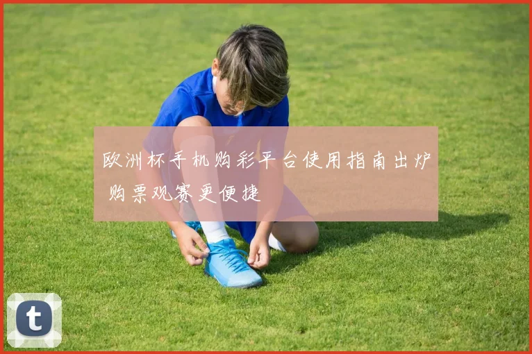 欧洲杯手机购彩平台使用指南出炉 购票观赛更便捷