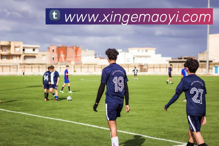 投注app官网平台生态图